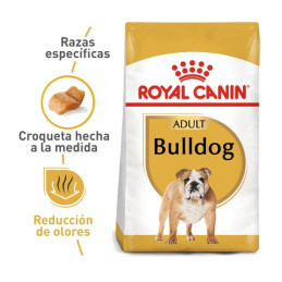 Royal Canin BHN Bulldog Inglés