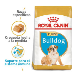 Royal Canin BHN Bulldog...