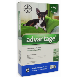 Antipulgas Advantage Perros